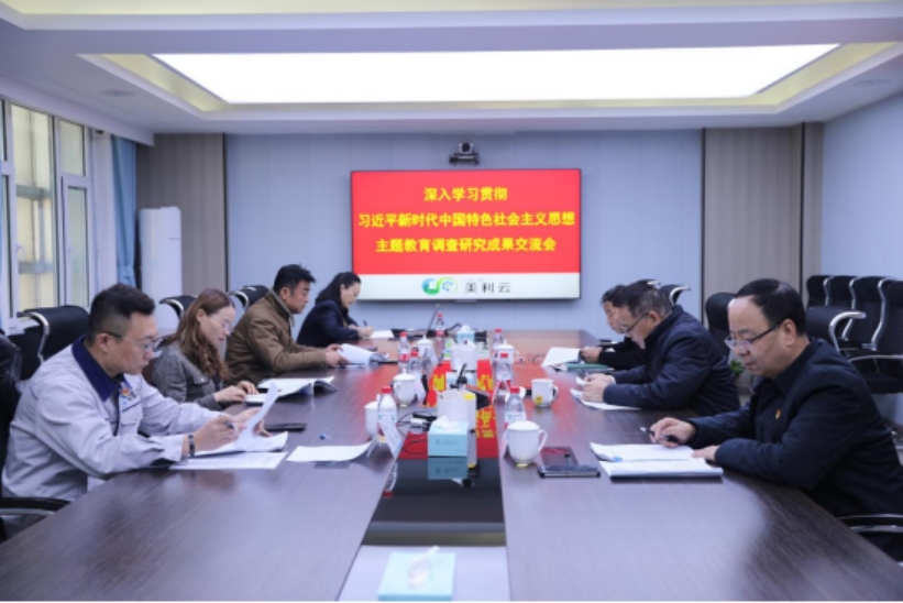 44118太阳成城官方网党委召开学习贯彻习近平新时代中国特色社会主义思想主题教育调研成果交流研讨会